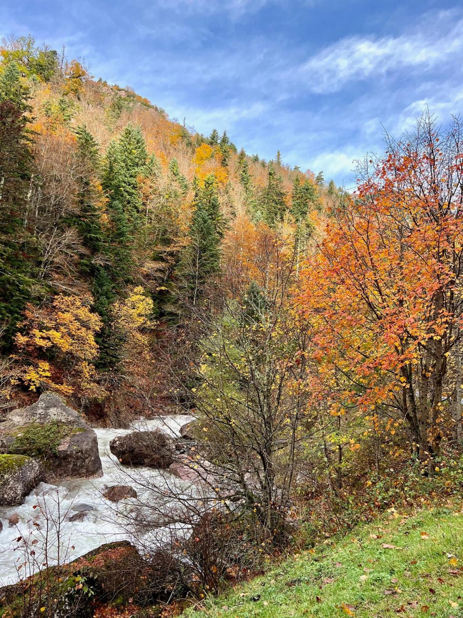 Camping Valle De 埃乔 外观 照片